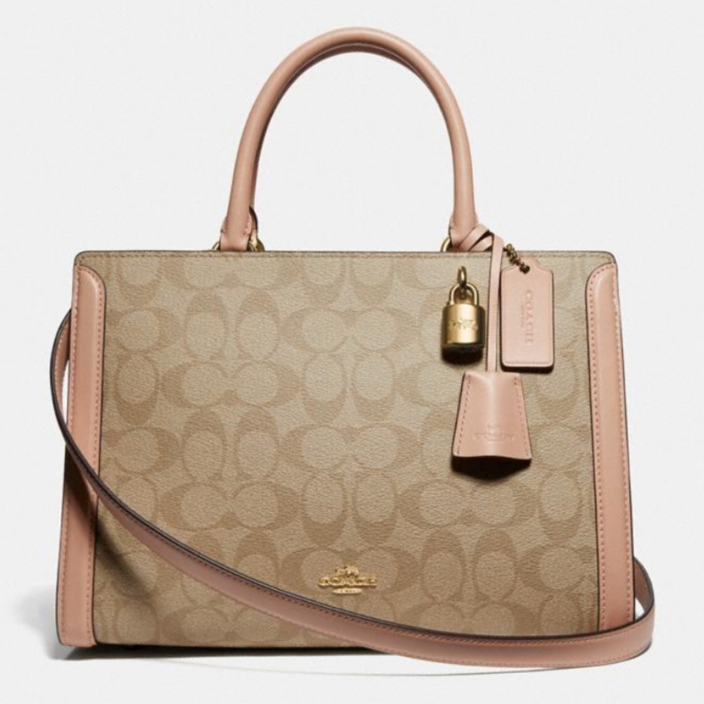Coach Carryall in Signature Canvas